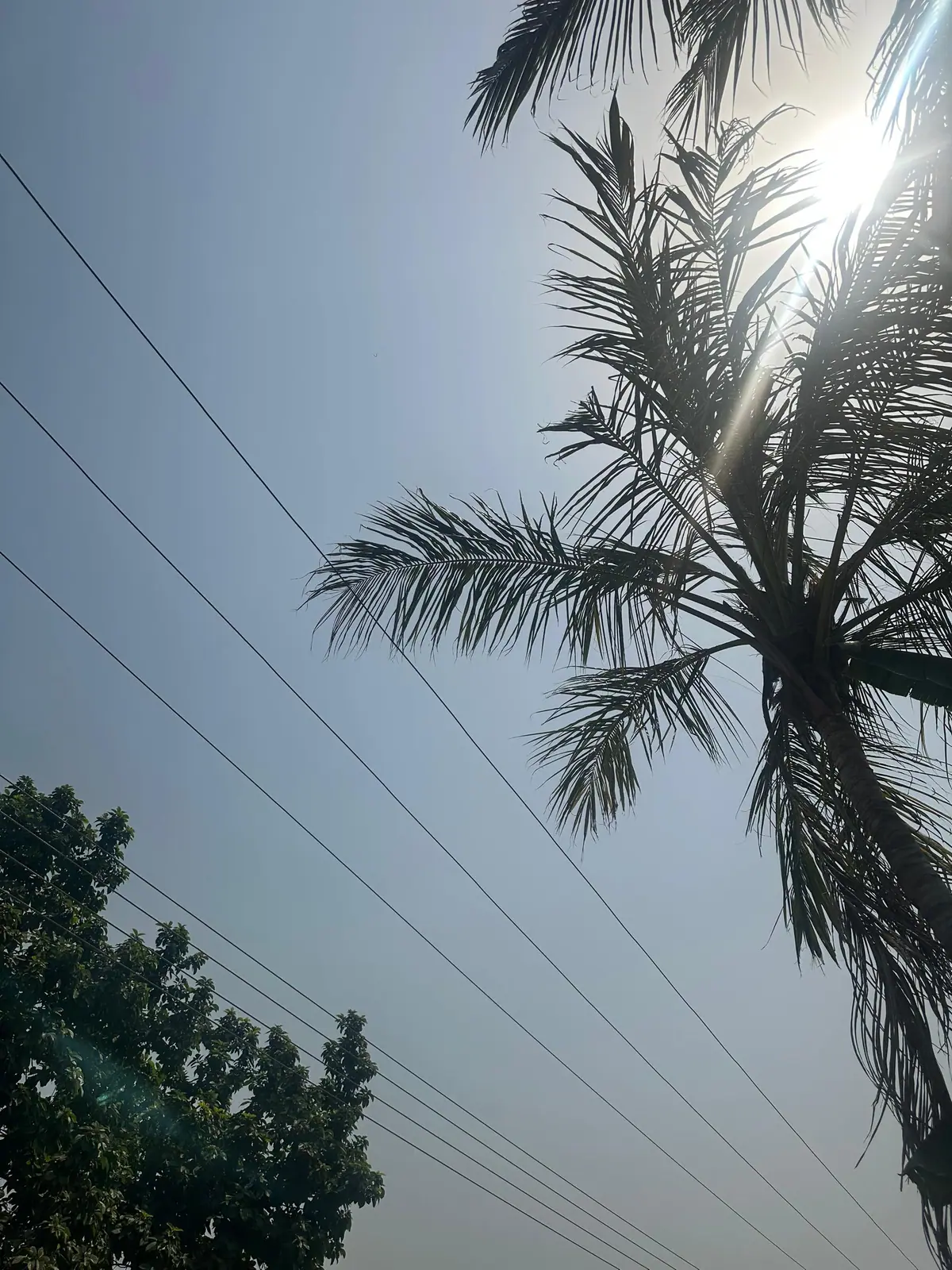 A photograph from Ifechi Nwaorisa's phone, 11 January 2025, Owerri, Nigeria