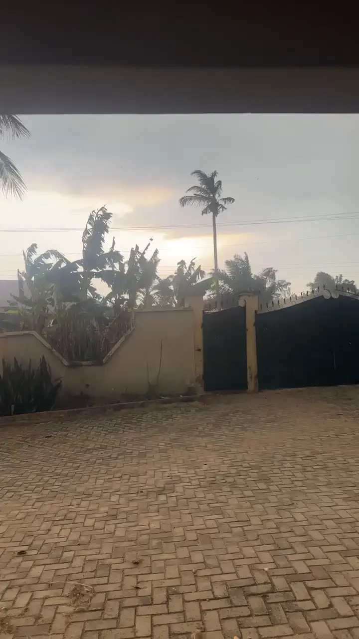 A video from Ifechi Nwaorisa's phone, 23 January 2025, Owerri, Nigeria