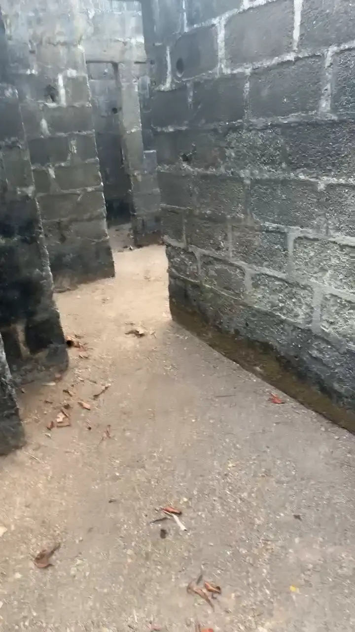 A video from Ifechi Nwaorisa's phone, 11 February 2025, Owerri, Nigeria