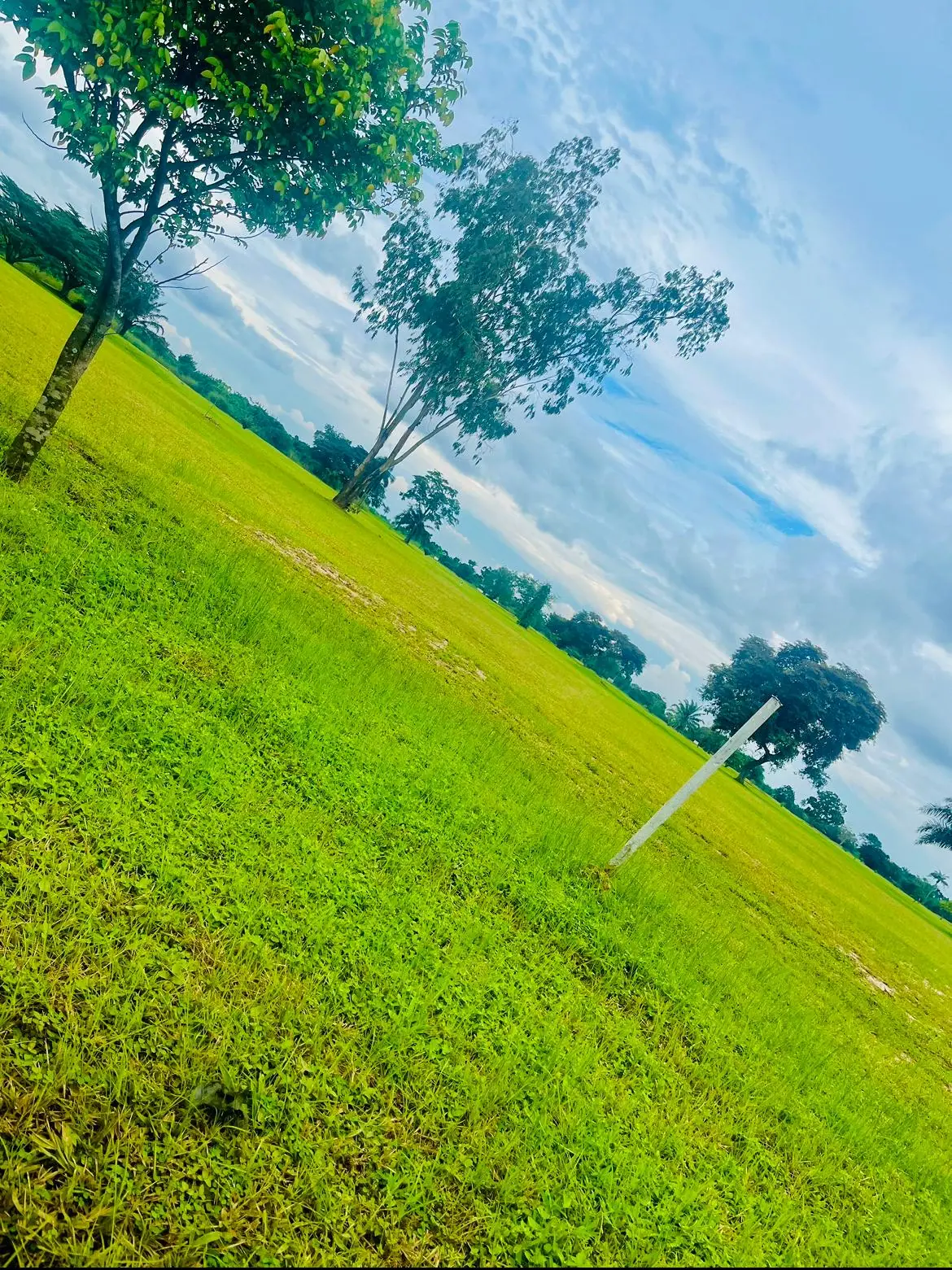 A photograph from Ifechi Nwaorisa's phone, 22 February 2025, Owerri, Nigeria