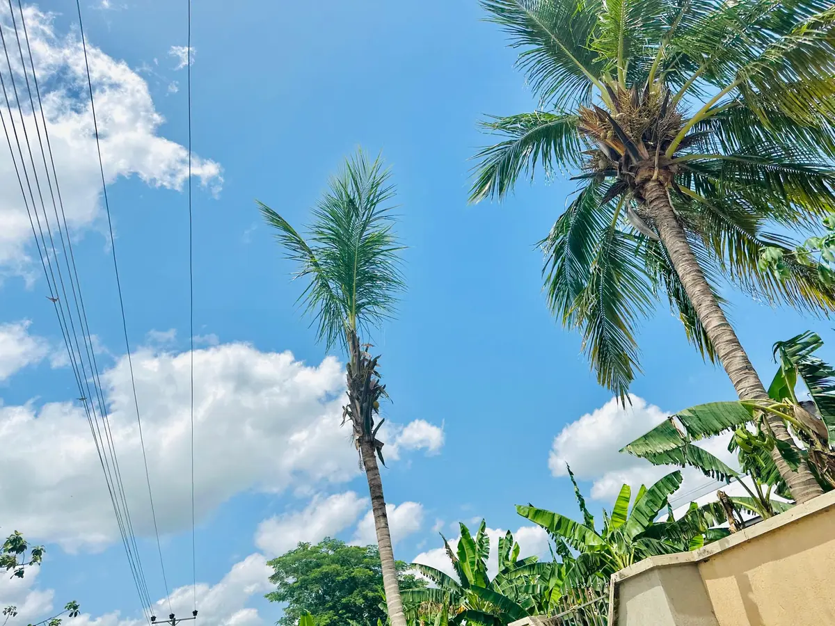 A photograph from Ifechi Nwaorisa's phone, 22 February 2025, Owerri, Nigeria