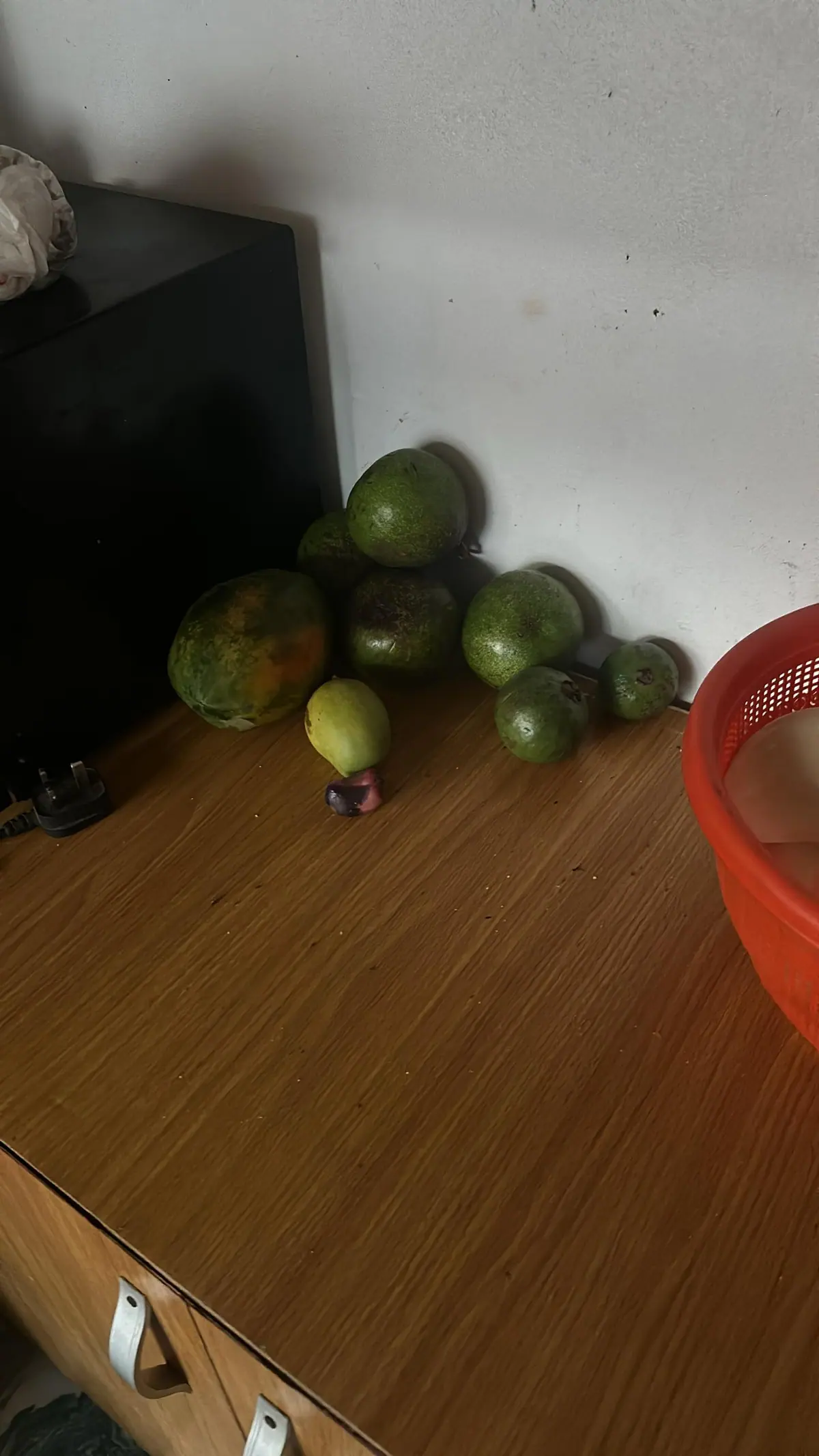 A photograph from Ifechi Nwaorisa's phone, 18 April 2025, Owerri, Nigeria