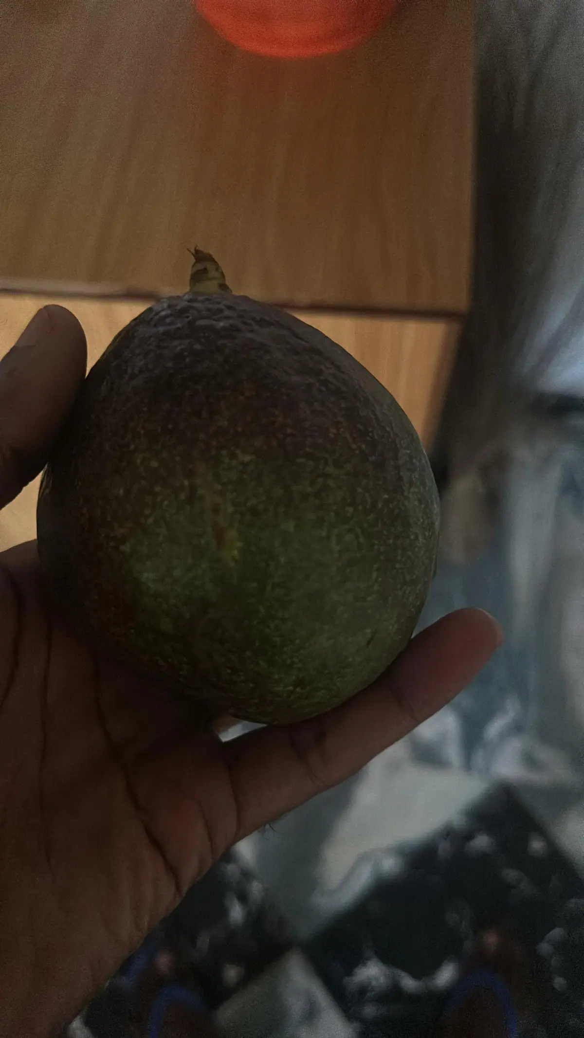 A photograph from Ifechi Nwaorisa's phone, 18 April 2025, Owerri, Nigeria