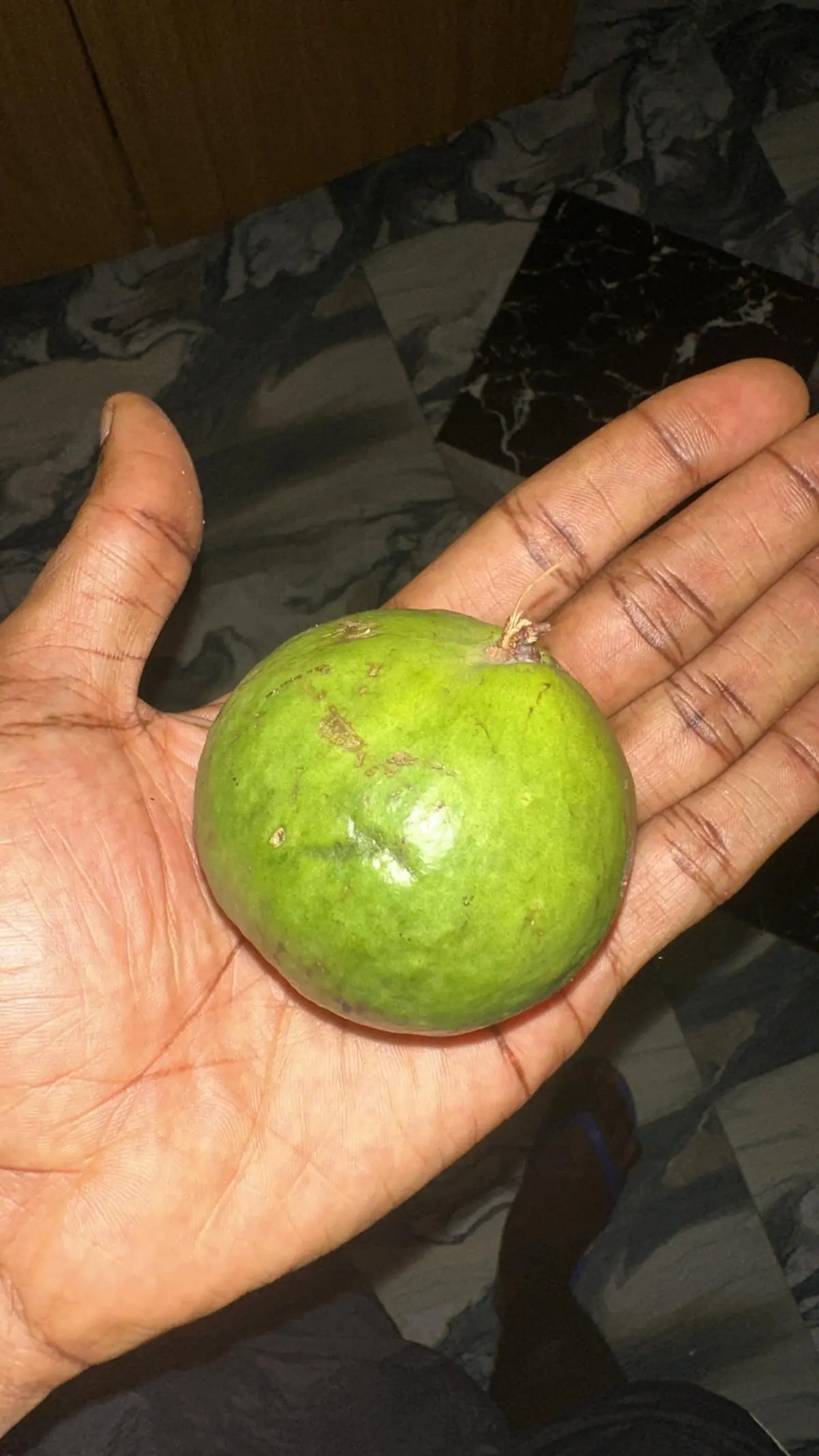 A photograph from Ifechi Nwaorisa's phone, 18 April 2025, Owerri, Nigeria